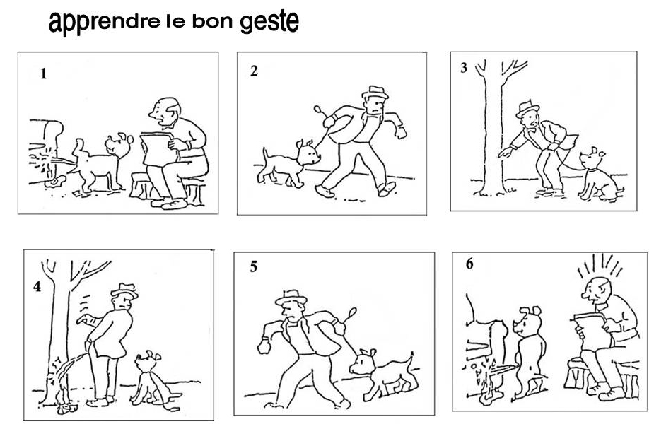 bon geste