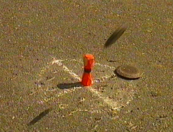 PDVD 41