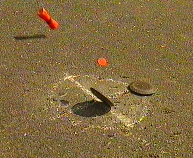PDVD 45
