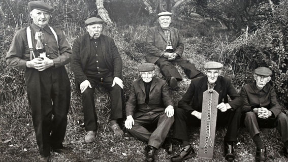 thersiquel languidou