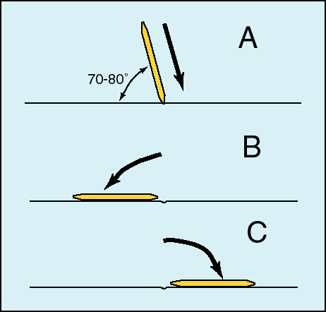 schma piqus