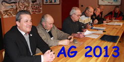 t_ag 2013