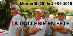 gallsie en fte