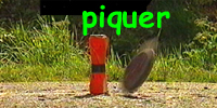 piquer